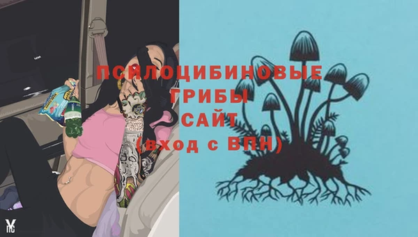 крисы Баксан