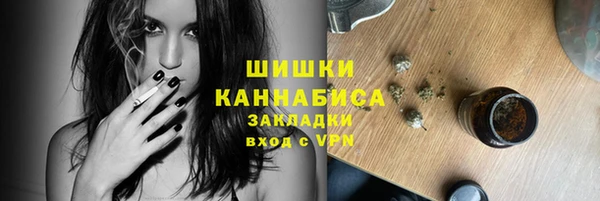 крисы Баксан