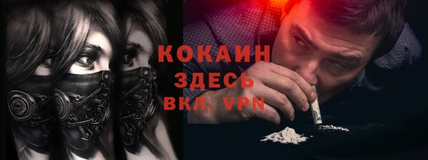 крисы Баксан