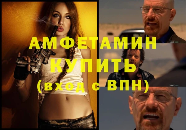 крисы Баксан
