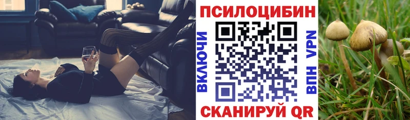 Псилоцибиновые грибы Psilocybine cubensis  Вятские Поляны 